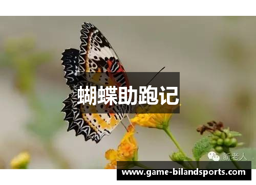 蝴蝶助跑记